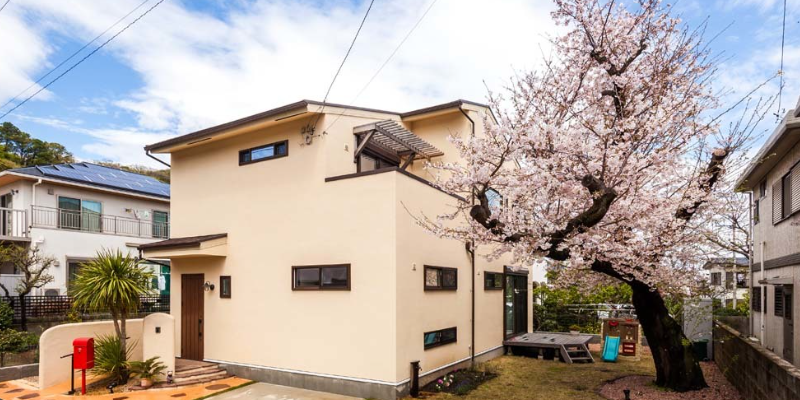 庭の桜を眺める家